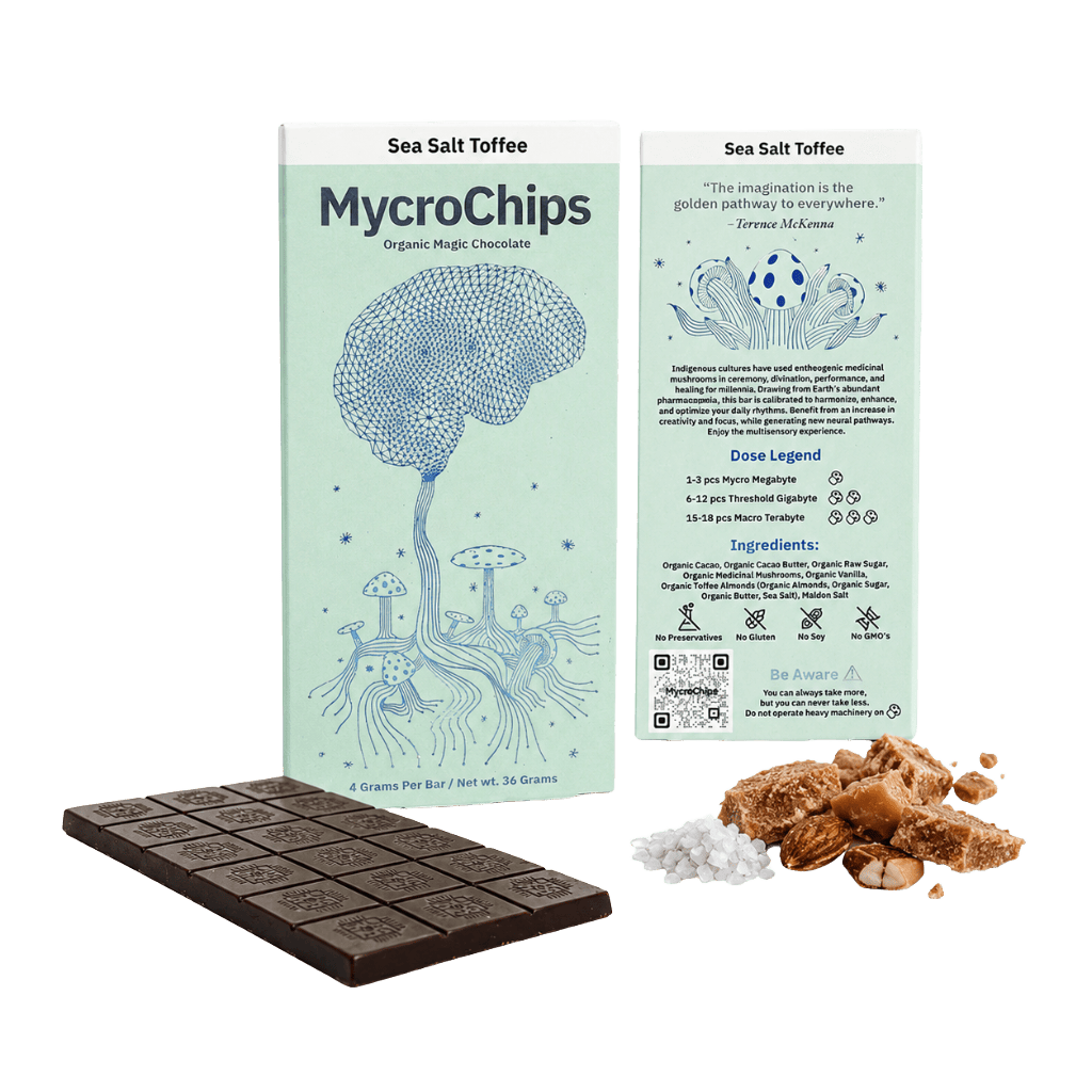 MycroChips Sea Salt Toffee Chocolate 3