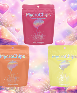 Buy Mycrochips Shared Moments Kit