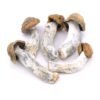Buy Penis Envy Magic Mushrooms