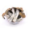 Buy Penis Envy Magic Mushrooms
