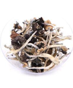 Buy B+ Magic Mushrooms