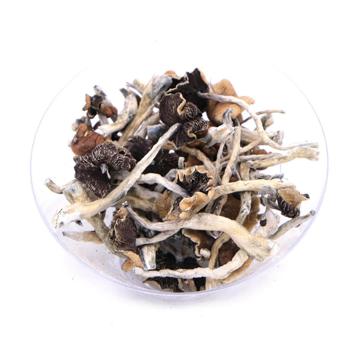 Buy B+ Magic Mushrooms