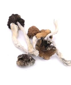 Buy B+ Magic Mushrooms