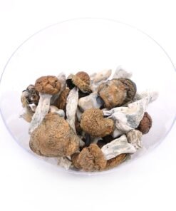 Buy Blue Meanie Magic Mushrooms