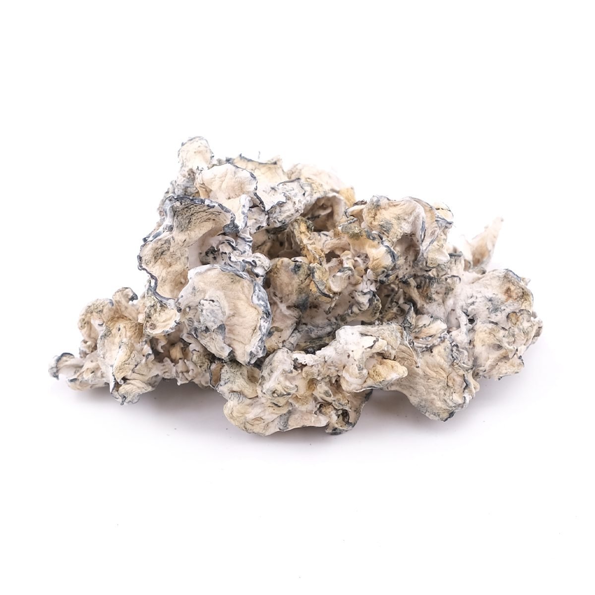 Buy Enigma Magic Mushrooms