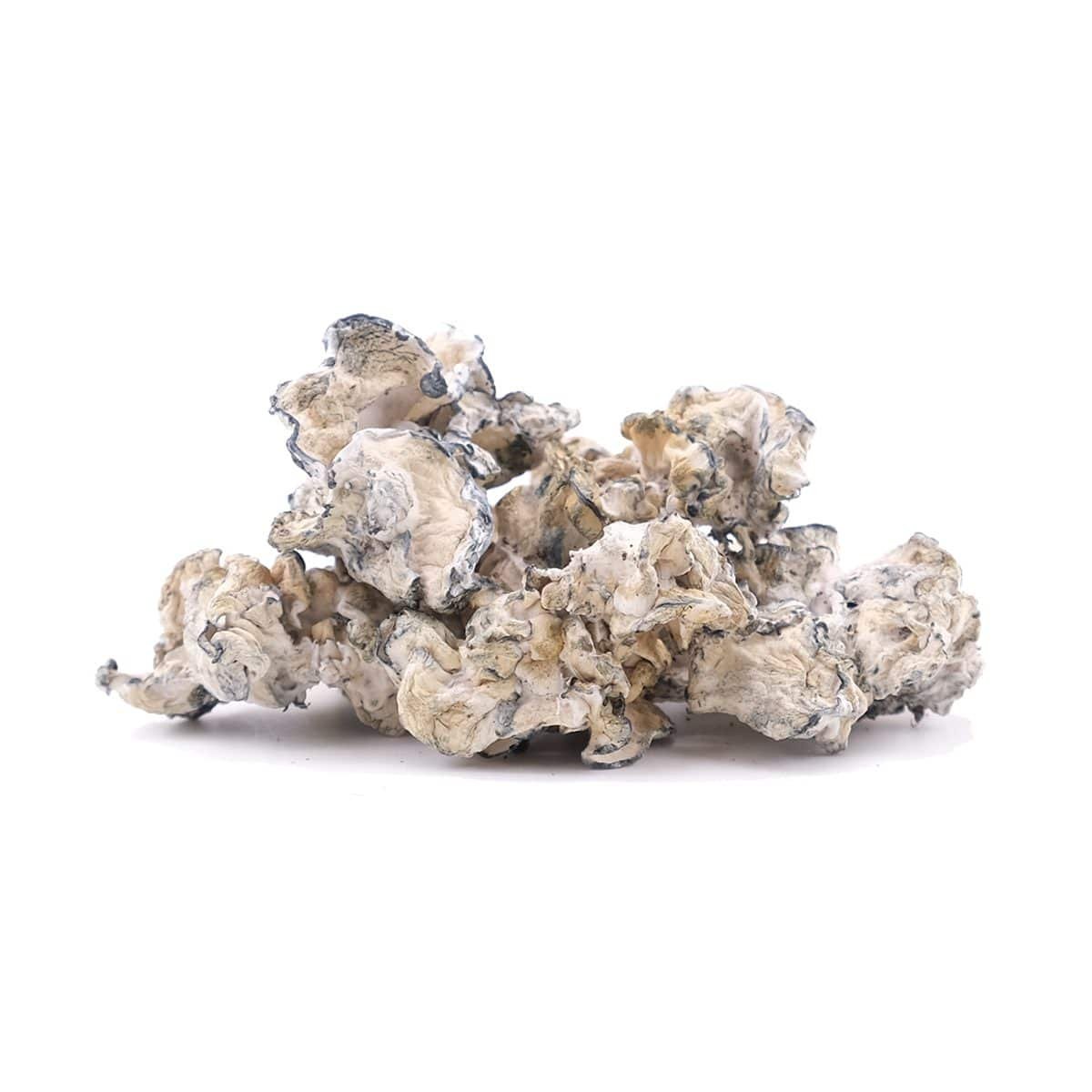 Buy Enigma Magic Mushrooms