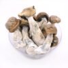 Buy Tidal Wave Magic Mushrooms