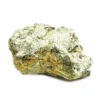 Buy Enigma Magic Mushrooms